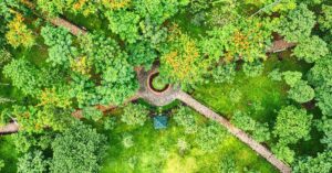 Vegetable Garden Planning: Strategies for a Thriving Garden